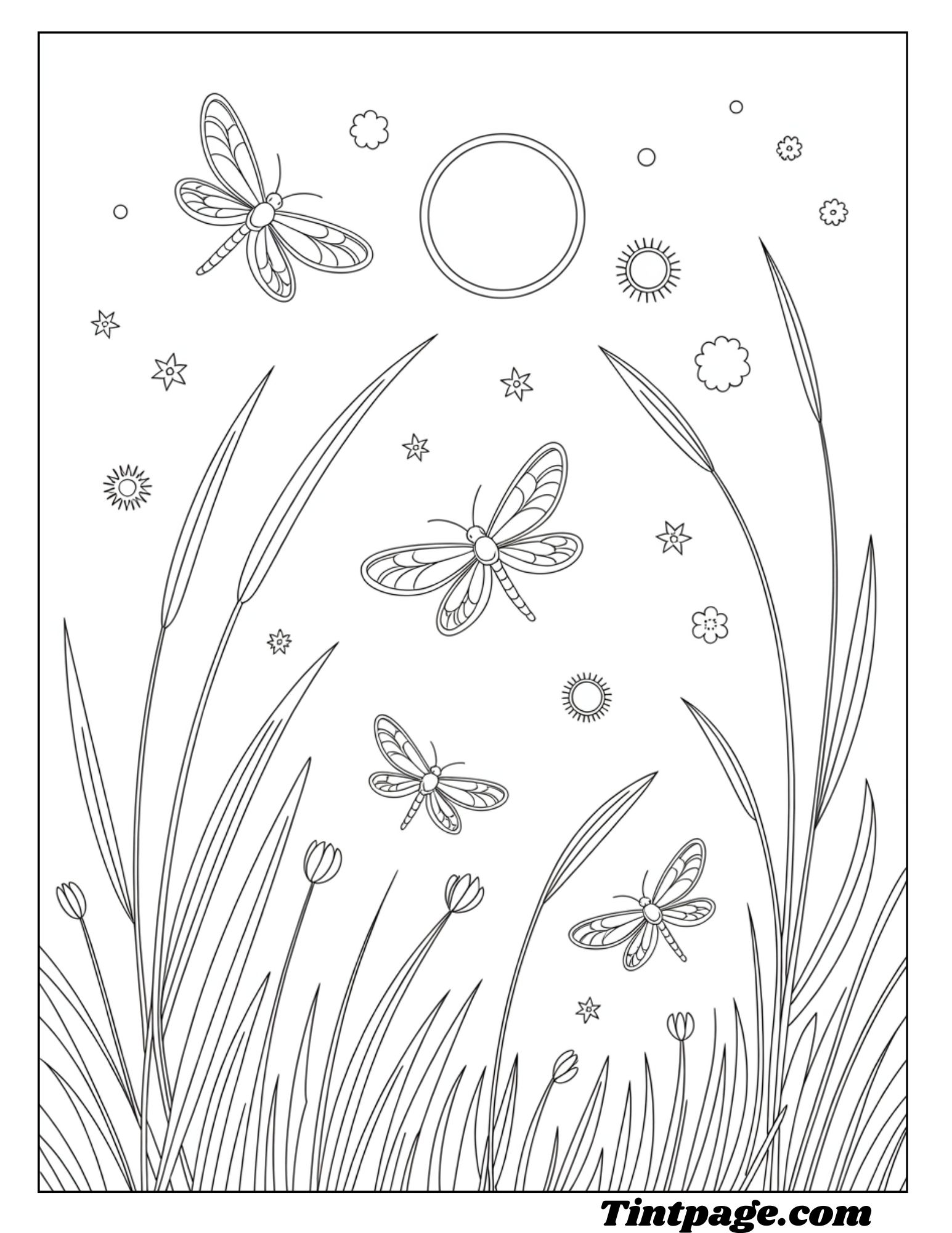 100 Summer Coloring Pages ( Free PDF Printable For All Ages)