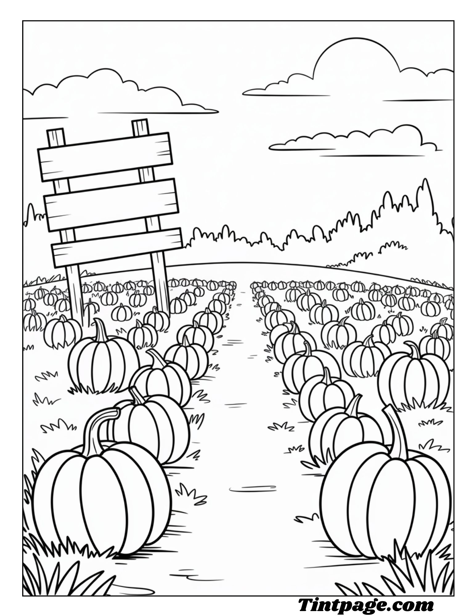 100 Kawaii Coloring Pages For Kids And Adults ( Free Dawnload Printables Pdf Files)